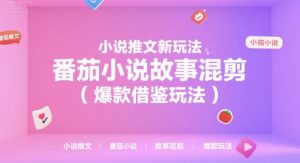 小说推文新玩法，番茄小说故事混剪(爆款借鉴玩法)-理想项目库