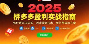 拼多多盈利实战指南,强付费玩法,活动爆流技术,微付费破局方案(更新7月-理想项目库