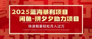 2025 最新闲鱼蓝海暴利项目 快速粗暴单号日入1000+，保姆级教程-理想项目库