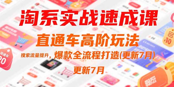 淘系实战速成课，直通车高阶玩法，搜索流量提升，爆款全流程打造(更新7月-理想项目库
