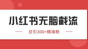 小红书截流同行客源，独家野路子获客玩法 日引200+暴力获客-理想项目库