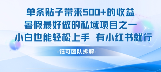单条贴子带来5张的收益，暑假最好做的私域项目之一，小白也能轻松上手，有小红书就行-理想项目库