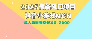 DY小游戏MCN广告2025最新打法单人单日收益1500-2000背靠大平台新手小白…-理想项目库