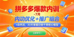 拼多多爆款内训-7月 内功优化+推广组合+自然流 30天掌握日销千单核心模型-理想项目库