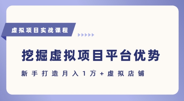 抓住虚拟项目各平台优势，新手轻松月入1W+(给出具体建议)-理想项目库