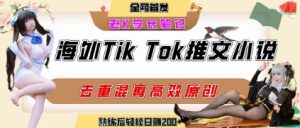 海外tiktok小说推文暴力项目，高停留率，高转化率，上手后一天搞顿饭钱不是问题-理想项目库