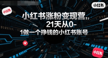 小红书涨粉变现营，21天从0-1做一个挣钱的小红书账号-理想项目库