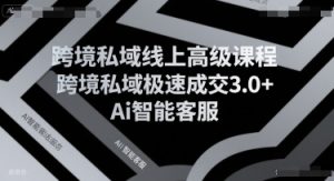 跨境私域线上高级课程,跨境私域极速成交3.0+Ai智能客服-理想项目库