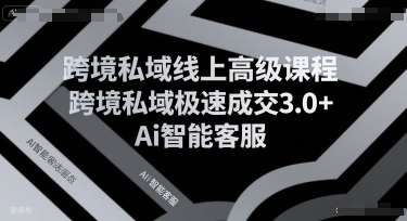 跨境私域线上高级课程，跨境私域极速成交3.0+Ai智能客服-理想项目库