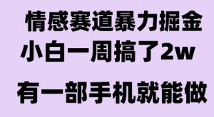 情感暴力掘金项目，新人操作一周挣了2W，长期稳定小白可做【揭秘】-理想项目库