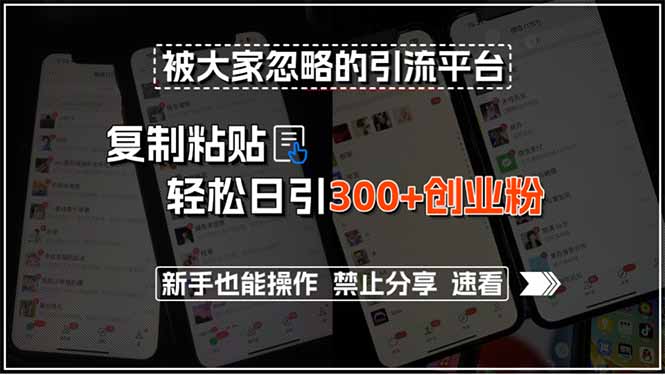 被大家忽略的引流平台，复制粘贴轻松日引300+创业粉，新手也能操作，禁…-理想项目库