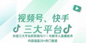 视频号、快手、抖音三大平台的剪辑与数字人直播技术,内容涵盖20+热门赛道-理想项目库
