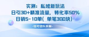 实测私域新玩法日引30加精准流量转化率50%日销5-10单每笔3张-理想项目库