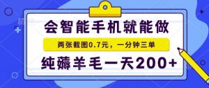 2025年零撸手机项目，二十秒一单，纯薅羊毛，一天200+做就有【揭秘】-理想项目库