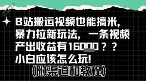 b站掘金计划？搬运视频也能挣拉新的收益，小白应该怎么玩！-理想项目库