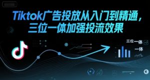 Tiktok广告投放从入门到精通,三位一体加强投流效果-理想项目库