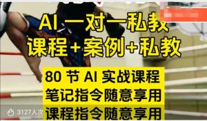 AI指令实战课,课程+案例,80节AI实战课程,笔记指令随意享用,课程指令随意享用(更新7月)-理想项目库