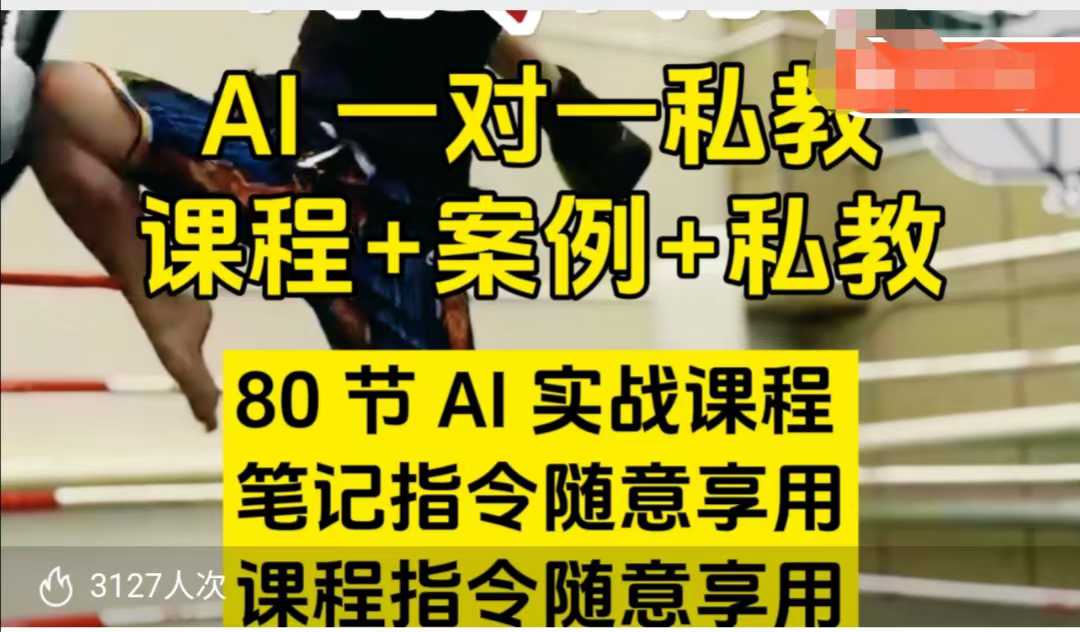 AI指令实战课，课程+案例，80节AI实战课程，笔记指令随意享用，课程指令随意享用(更新7月)-理想项目库