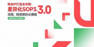 商业IP打造全攻略：差异化SOP3.0流程，短视频协议模板，婚恋项目实战案例-理想项目库