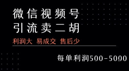 视频号卖二胡教程，利润大 易成交 售后少，一单利润5张+-理想项目库