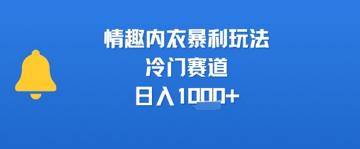 情趣内衣暴利玩法，冷门赛道，日入1k+-理想项目库