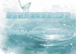 最新剑灵巅峰服游戏搬砖,项目红利期,单机稳定4000+操作简单好上手-理想项目库