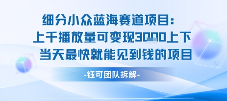 小众蓝海赛道项目：当天变现1k+适合新手操作 +适合长期玩-理想项目库