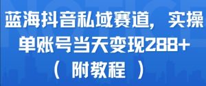 蓝海抖音私域赛道，实操单账号当天变现288+(附教程)-理想项目库