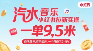 汽水音乐小红书拉新实操，，一单9.5米，有手就行，一个月挣了2.1W-理想项目库