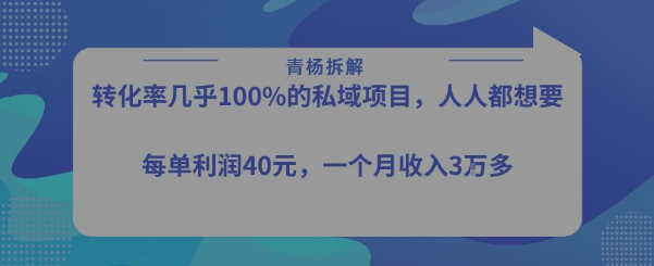 转化率最高的私域项目，每单利润40-50米，月入过1w-理想项目库