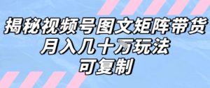 解密视频号图文矩阵带货，月入几个W的打法，可复制-理想项目库