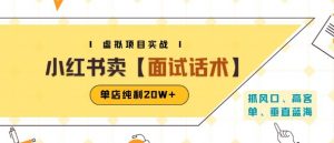 小红书虚拟项目掘金，卖面试话术资料，单店纯利20W+(附爆款笔记制作方法)-理想项目库