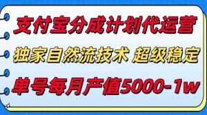 支付宝分成计划代运营,独家自然流技术,收益稳定,单号月产5000+-理想项目库