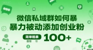 微信私域群如何暴力被动添加创业粉，简单粗暴，日引100+-理想项目库