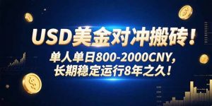 USD美金对冲搬砖!单人单日800-2000CNY，长期稳定运行8年之久!-理想项目库