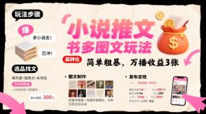 小说推文小红书多图文玩法，简单粗暴，万播收益3张-理想项目库