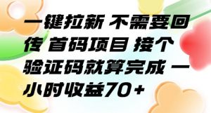 一键拉新 不需要回传 首码项目 接个验证码就算完成 一小时收益70+【揭秘】-理想项目库