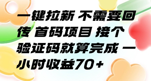 一键拉新 不需要回传 首码项目 接个验证码就算完成 一小时收益70+【揭秘】-理想项目库