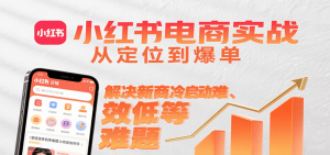 小红书电商实战，从定位到爆单解决新商冷启动难、变现效率低等难题-理想项目库