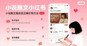 小说推文小红书高转化引导方法实操课，小说推文高效且正确引导方法-理想项目库
