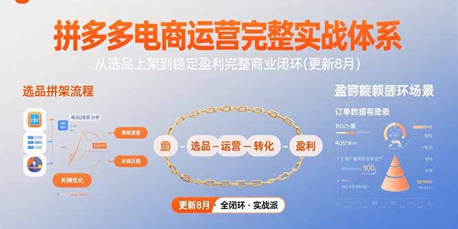 拼多多电商运营完整实战体系，从选品上架到稳定盈利完整商业闭环(更新8月-理想项目库