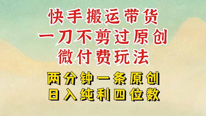 快手黑科技搬运带货，一刀不剪过原创，微付费投流玩法，轻松日入四位数…-理想项目库