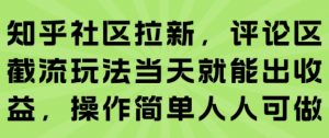 知乎社区拉新，评论区截流玩法当天就能出收益，操作简单人人可做-理想项目库