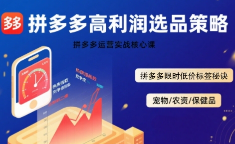 拼多多选品暴利技术实战课，拼多多高利润选品策略，拼多多限时低价标签秘诀-理想项目库