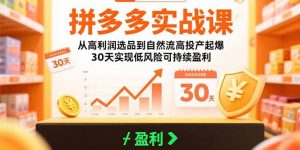 拼多多实战课：从高利润选品到自然流高投产起爆 30天实现低风险可持续盈利-理想项目库