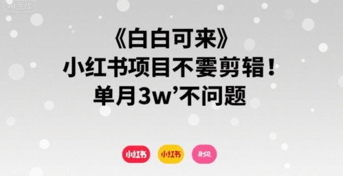 小白可来 小红书项目不需要剪辑 单月3w不是问题-理想项目库
