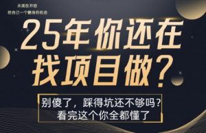 25年，你还在疯狂的找项目吗？别傻了，看完这个你都懂了【揭秘】-理想项目库