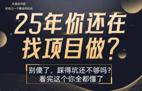 25年，你还在疯狂的找项目吗？别傻了，看完这个你都懂了【揭秘】-理想项目库