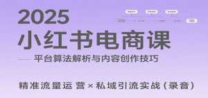 2025小红书电商课：解析算法，创作高转化内容，助力卖家获取流量实现变现(录音)-理想项目库
