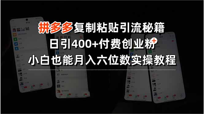 拼多多复制粘贴引流秘籍，日引400+付费创业粉，小白也能月入六位数实操…-理想项目库